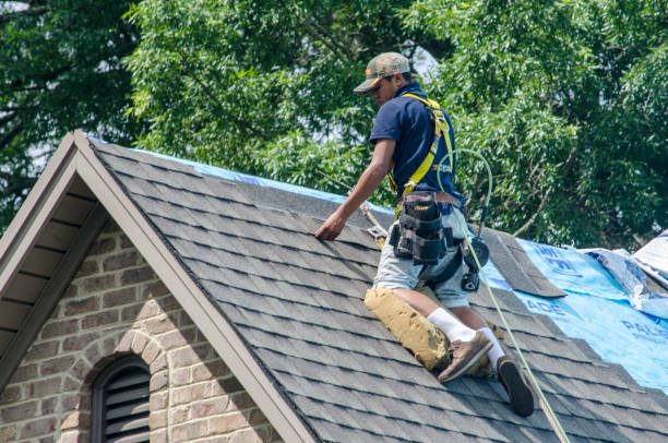 Best New Roof Installation  in Woodville, MS